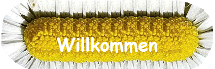 Willkommen